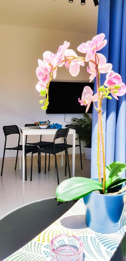 Ke Casetta Tenerife Salvador And Santiago Apartments Las Rosas  المظهر الخارجي الصورة